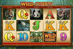 Wild Orient in der Betway App