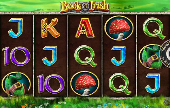 Der Slot Book of the Irish im Blick