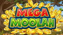 Das Logo des Mega Moolah Slots mit Jackpot von Microgaming.