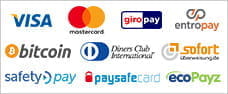 Zusammenstellung der Logos unterschiedlicher Zahlungsmöglichkeiten