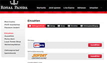 Die Zahlungsmöglichkeiten bei Royal Panda