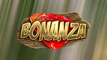 Der Slot Bonanza
