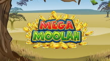 Der progresisive Jackpot Slot Mega Moolah.