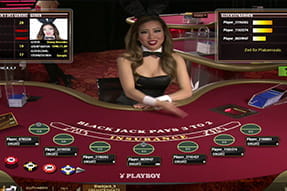 Live Geber im Playboy Bunny Outfit