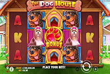 Der Slot The Dog House von Pragmatic Play.