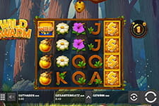 Wild Swarm, der summende Spaß von Push Gaming.