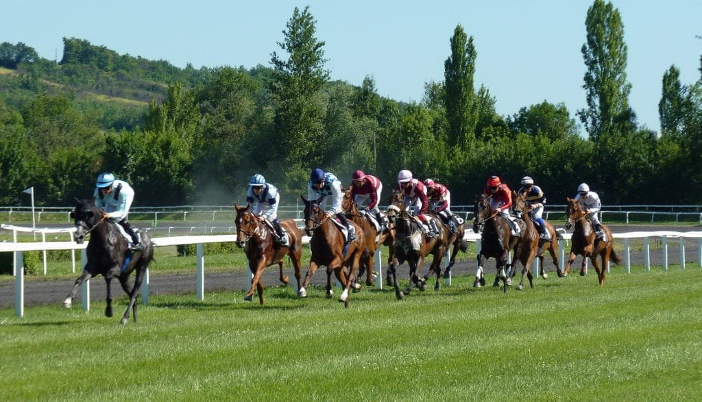 Jockeys auf Pferden beim Pferderennen.