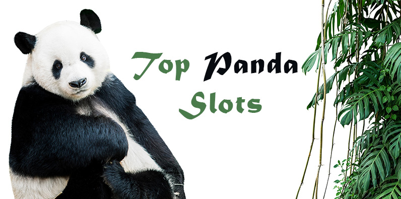 Die besten Panda Slots