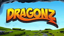 Der Slot Dragonz von Microgaming.