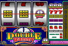 Der Slot Double Wammy von Microgaming.