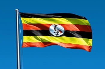 Die Flagge Ugandas weht im Wind