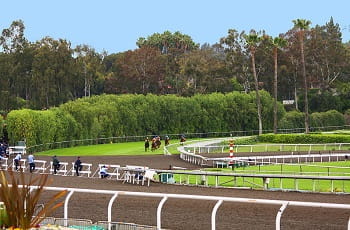 Ein Pferderennen im Santa Anita Park, Kalifornien.