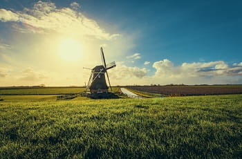 Eine niederländische Windmühle.