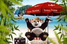 Royal Panda Sommerglück Aktion.