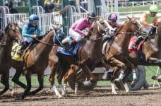 Sportwetten: Anbieter lizensiert