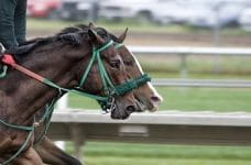 Klage gegen Svenska Spel-Wettmarke