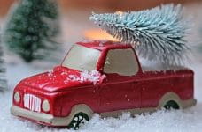 Weihnachtsbaum-Ranking: Diese deutsche Stadt hat den höchsten