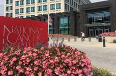 Casino-Mogul Sheldon Adelson ist tot