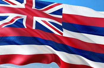 Die Flagge von Hawaii.