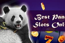 Die besten Panda Slots online