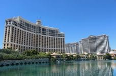 Caesars und MGM auf Normalbetrieb