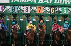 Schweden – Erste Pferde-Trabrennbahn bekommt eigenes Casino