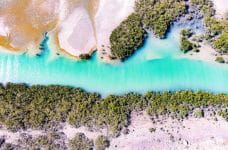 Neuseeland: Erneuter Rückschlag für Casino-Branche