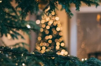 Weihnachtsbaum-Ranking 2021: Diese deutsche Stadt hat den längsten